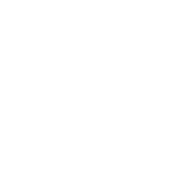 ynet
