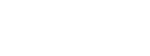 ערוץ zoom